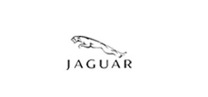 JAGUAR JAGUAR