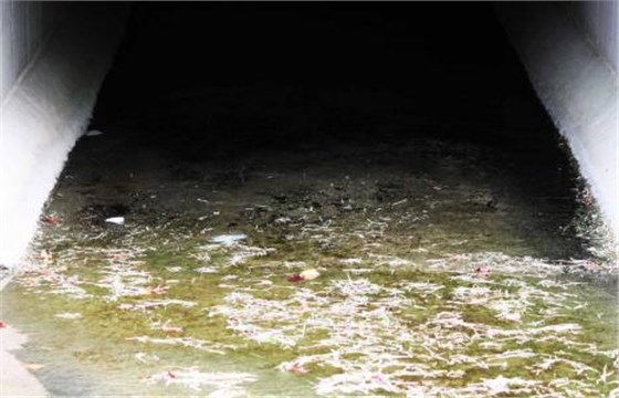 化工废水 化工废水