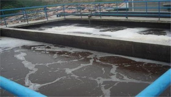 养殖场废水 养殖场废水