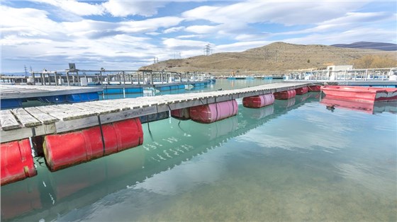 化工厂废水处理 化工厂废水处理