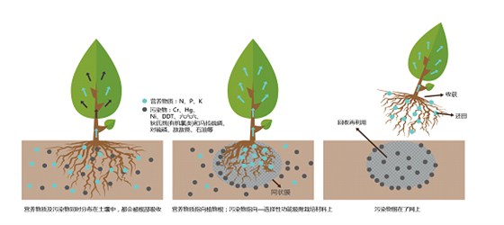 功能吸附材料 功能吸附材料