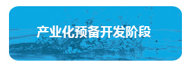 产业化预备开发阶段- 产业化预备开发阶段-