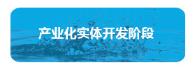 产业化实体开发阶段- 产业化实体开发阶段-