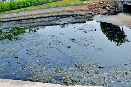 养殖场污水 养殖场污水