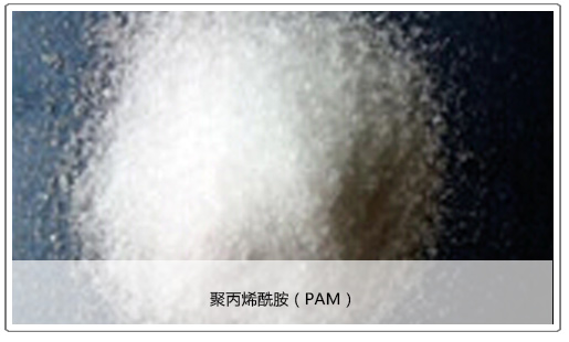 聚丙烯酰胺(PAM) 聚丙烯酰胺(PAM)