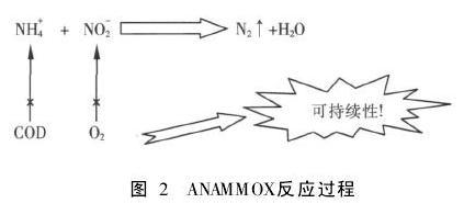 厌氧氨氧化工艺 厌氧氨氧化工艺